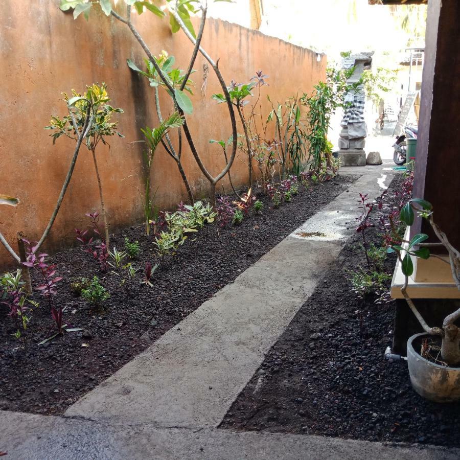 Backpackers Home Amed Buitenkant foto